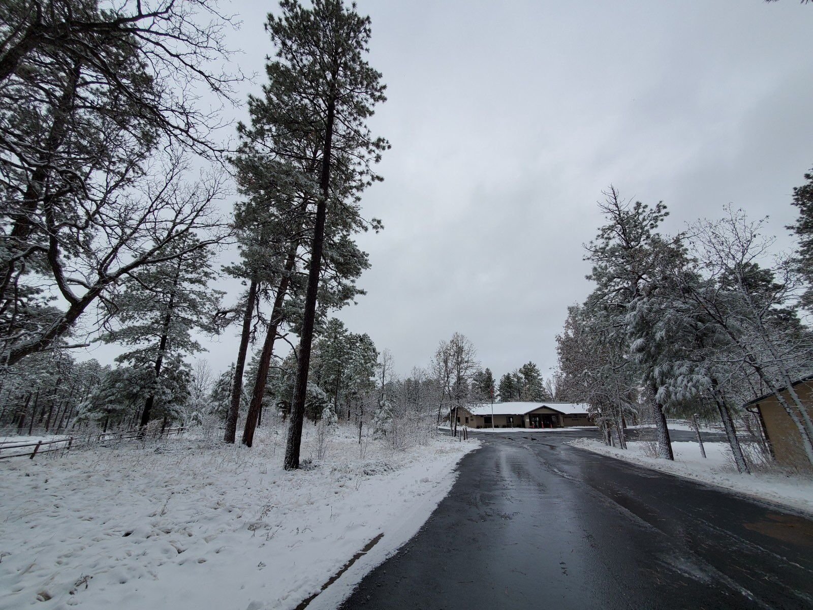 Snow in Pinetop